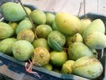 হাড়িভাঙ্গা