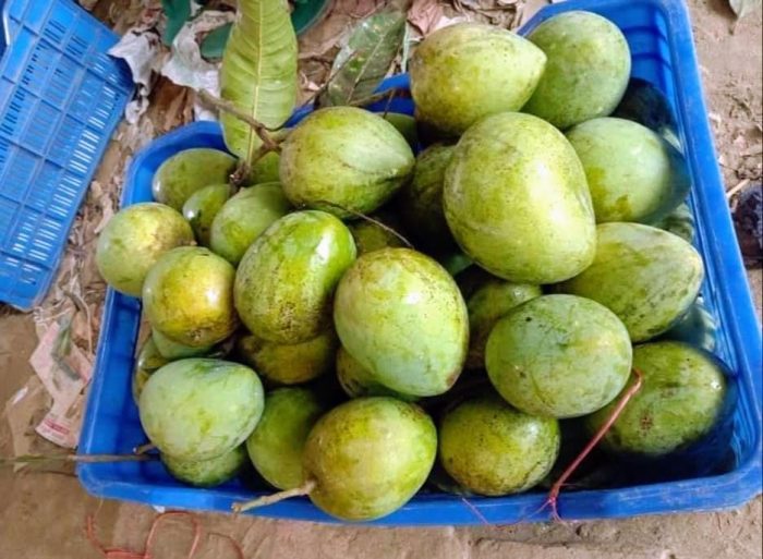 হাড়িভাঙ্গা