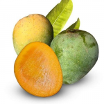 himsagor খিরসাপাত