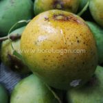 খিরসাপাত | Khirshapat - Image 5