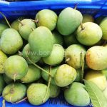 হিমসাগর । Himsagor - Image 2