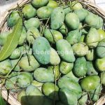 আম্রপালি | Amrapali - Image 2
