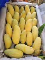 ব্যানানা আম | Banana Mango - Image 2