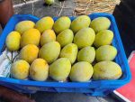 গৌড়মতি | Gouromoti - Image 2
