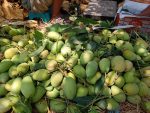 বারি - ১১ | Bari - 11 - Image 3