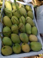 বারি - ১১ | Bari - 11 - Image 2
