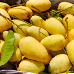 কাটিমন | Katimon Mango - Image 4