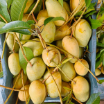 নন ব্যাগিং কাটিমন আম - Image 8