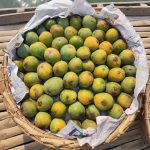 খিরসাপাত | Khirshapat - Image 2