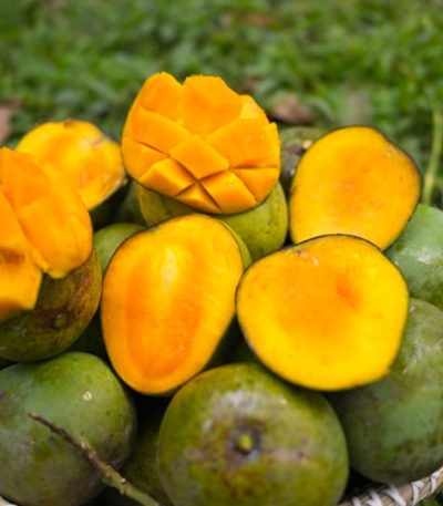 হিমসাগর
