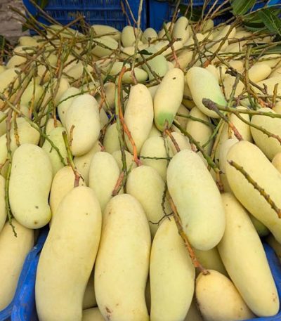 banana
