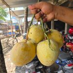 বারি-৪ | Bari-4 - Image 3