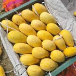 কাটিমন | Katimon Mango - Image 5