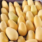 কাটিমন | Katimon Mango