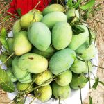 ফজলি