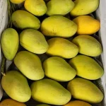 কাটিমন | Katimon Mango - Image 7