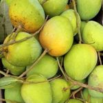 হাড়িভাঙ্গা | Haribhanga - Image 3