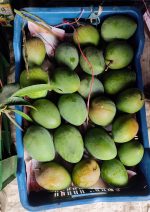 হাড়িভাঙ্গা | Haribhanga - Image 3