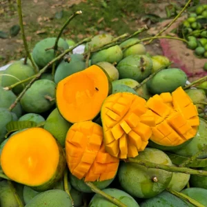 হিমসাগর আম