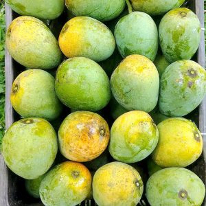 হিমসাগর আম