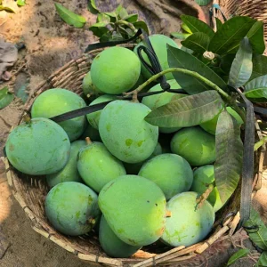হিমসাগর আম