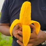 ব্যাগিং ব্যানানা আম - Image 3
