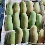নন ব্যাগিং ব্যানানা আম - Image 5